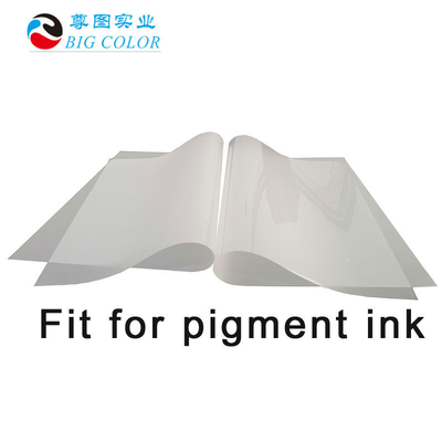 DTF-Film 60cm 30cm Roll-to-Roll für Pigment-Drucker Wärmeübertragung Pulver Shake machen Film